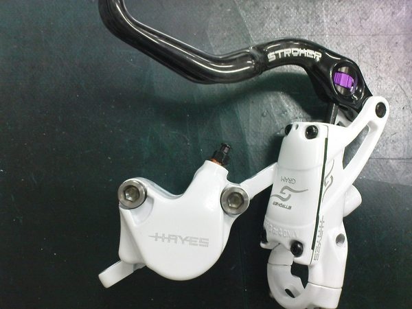 hayes stroker gram