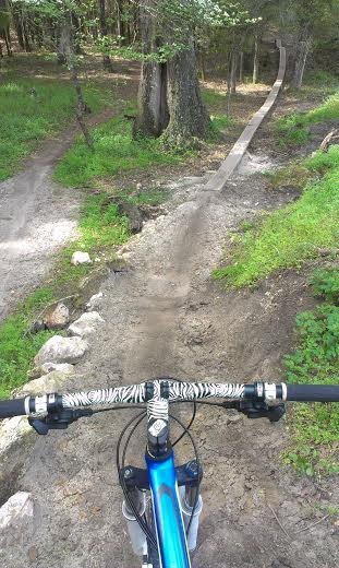 First ride on the new Skinny feature on Dogbone trail..... super fun