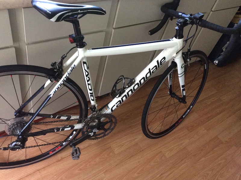 cannondale caad10 for sale