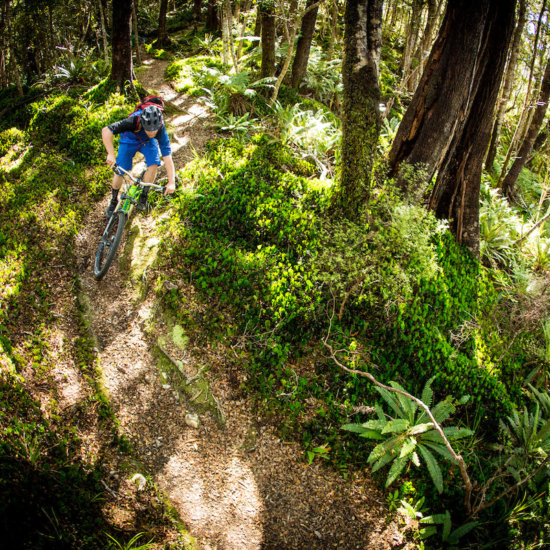 Wellington on New Zealand's North Island is a city connected by singletrack. 

While road­tripping its always good to have friends with local knowledge. Caleb

Smith of @spokemagazine captures @mikejhopkins weaving through a secret trail

on the cities fringe.  The North is often overshadowed by the South but its limelight

is coming. #HopkinsNZshred @norcobicycles @smithoptics @661protection

@rideshimano @ridegravity @dissentlabs @camelbak @srsuntour