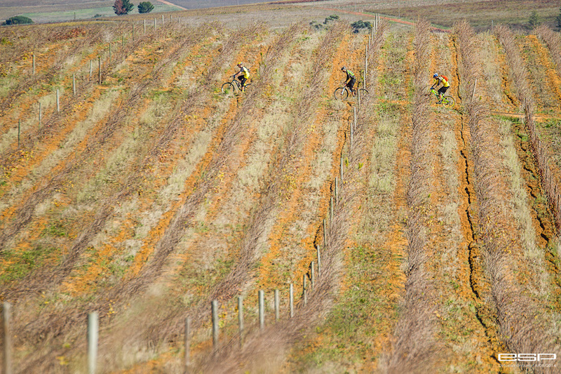 Riders making their way through the autumn vines on Liason 5