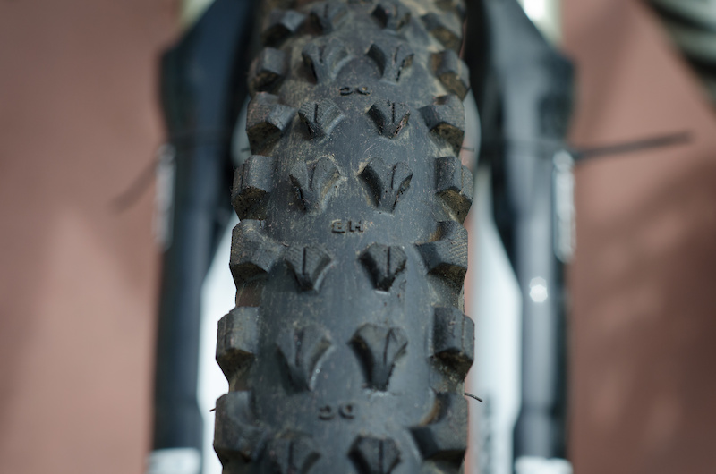 Kenda Honey Badger DH Pro Tire Review Pinkbike