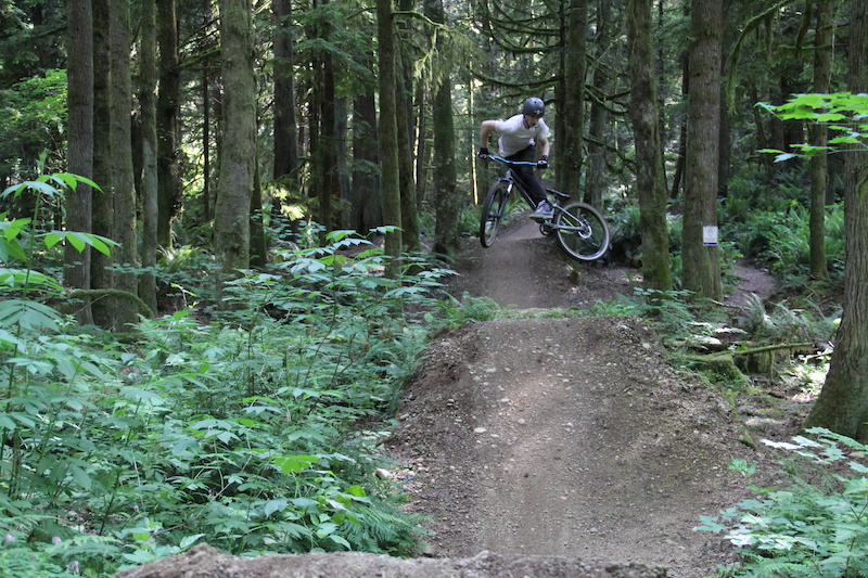 Big Tree Mountain Bike Trail - Duthie Hill Mountain Bike Park, Issaquah