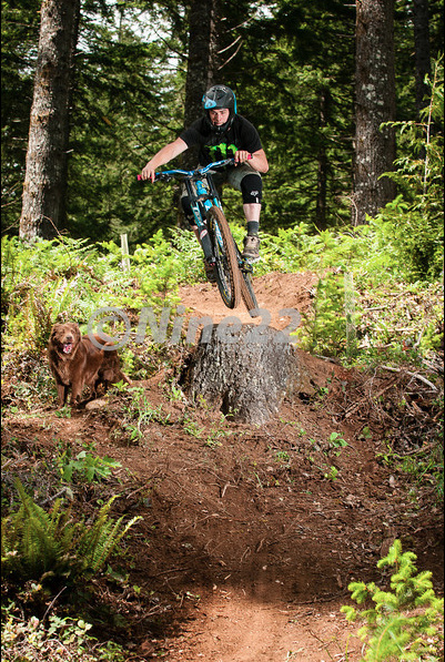 My dog getting outta the way of a fellow racer bucking the stump drop at the recent Flow Cup DH practice day.