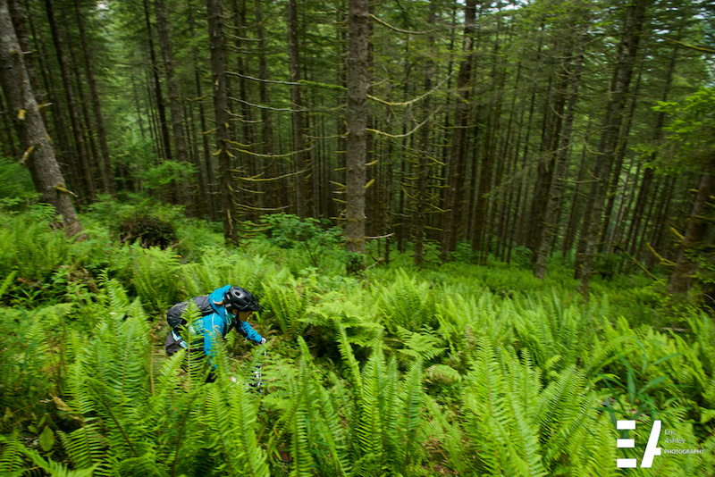 Michelle Brittnacher Amateur speeds through a sea of ferns on Stage One.