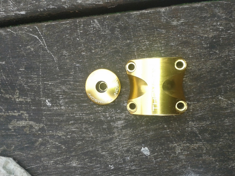 2013 thomson gold face plate