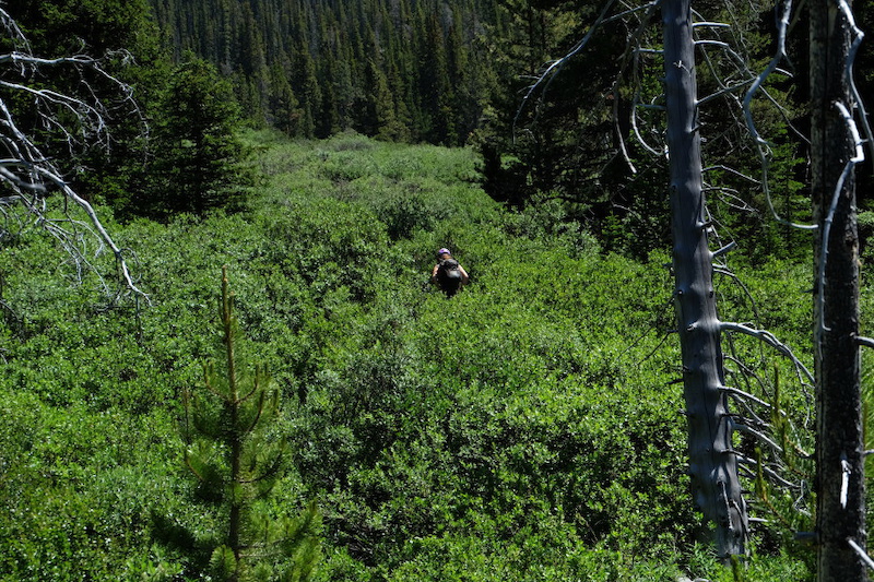 Back country adventures with Emily and Adrian.