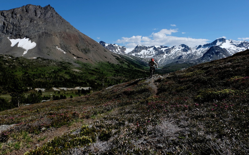 Back country adventures with Emily and Adrian.