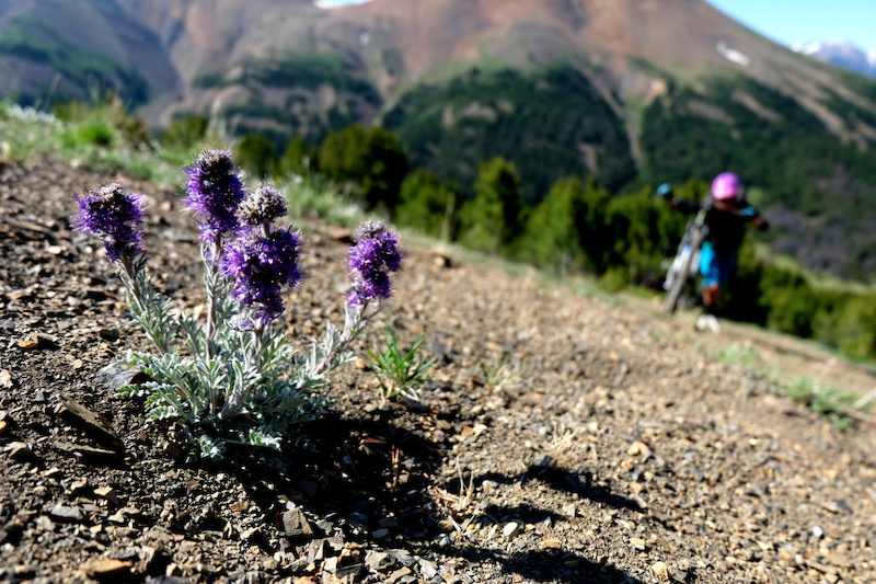 Back country adventures with Emily and Adrian.