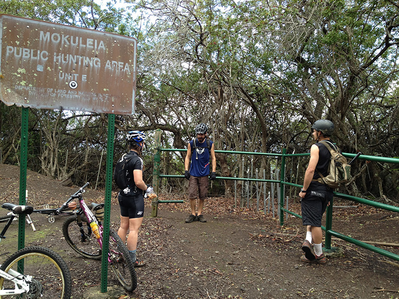 Gate at the top of the climb
