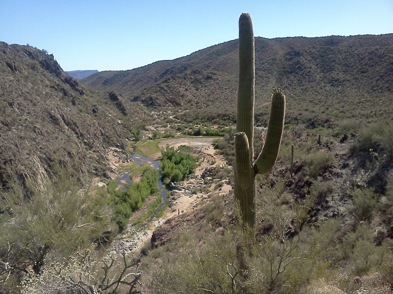 A photo from the Black Canyon Trail, Arizona