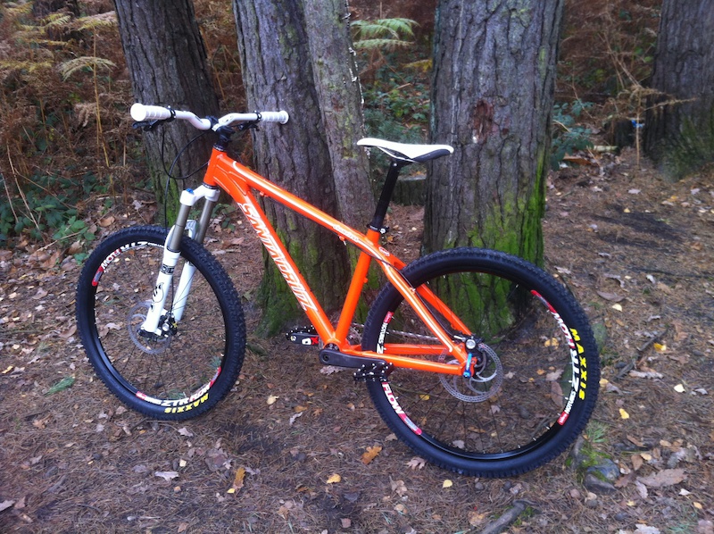 chameleon single speed