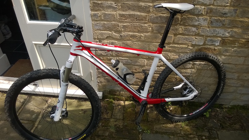 on one whippet frame
