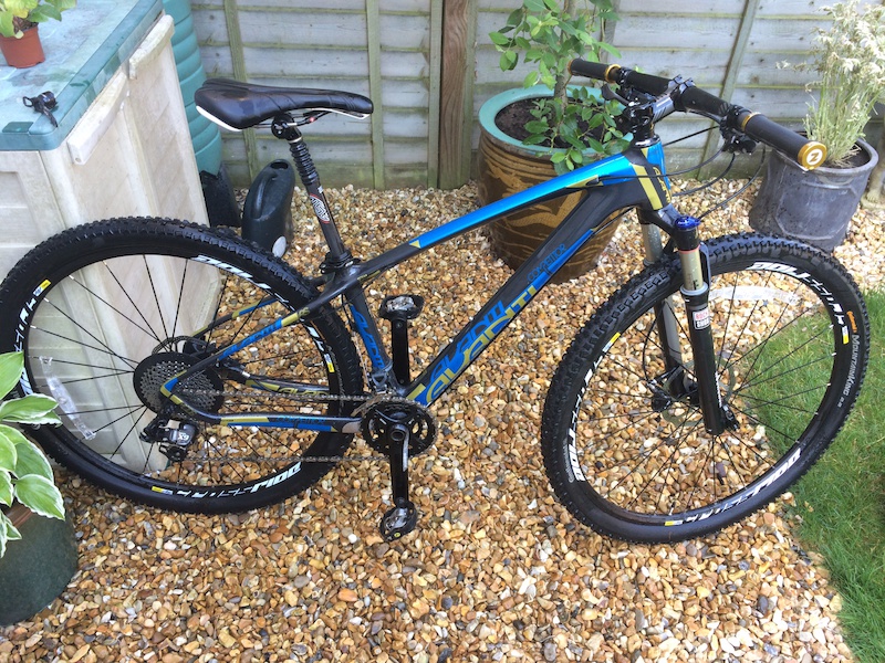 avanti comp mountain bike