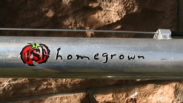 1995 Schwinn Homegrown chrome