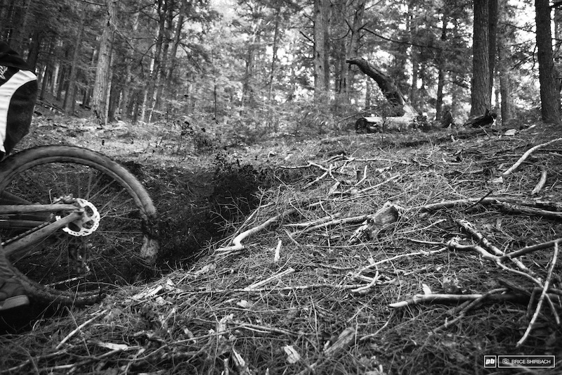 The dirt is ancient but the roost never gets old.
