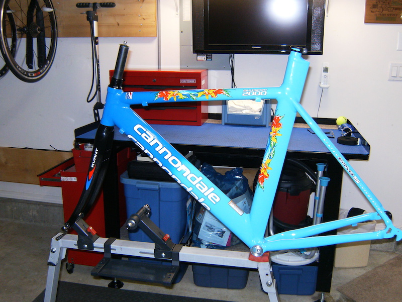 2002 NEW CANNONDALE CAAD5 MULTISPORT 2000 TT/ROAD FRAMESET For Sale