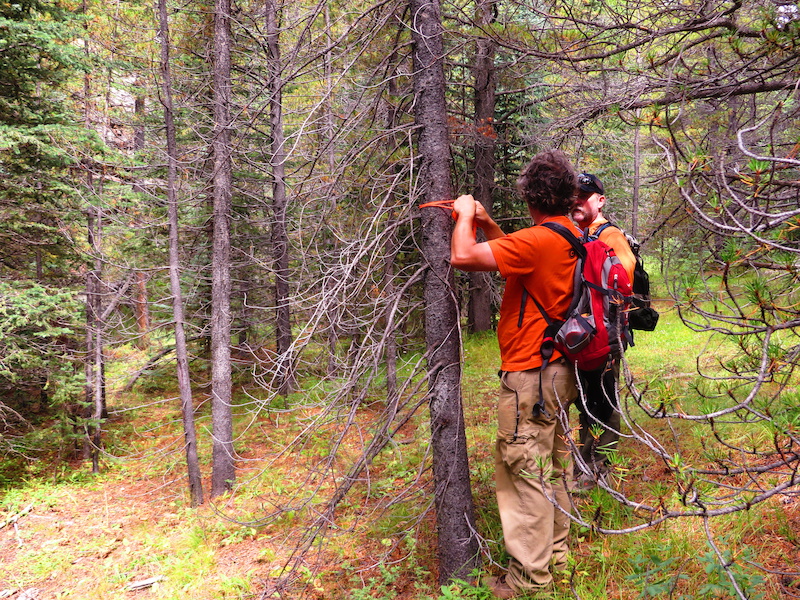Chronicles of Colorado Pinkbike
