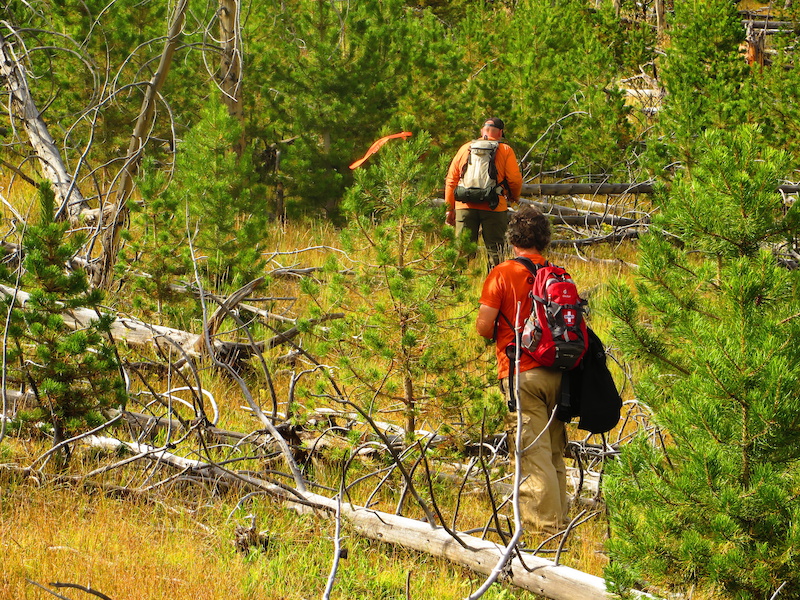 Chronicles of Colorado Pinkbike
