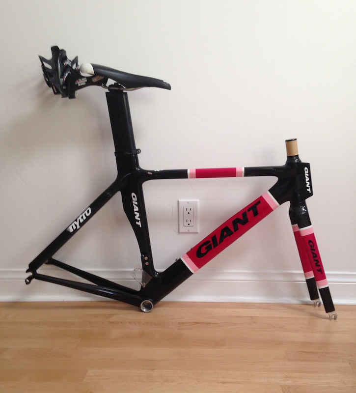 giant tcr custom paint