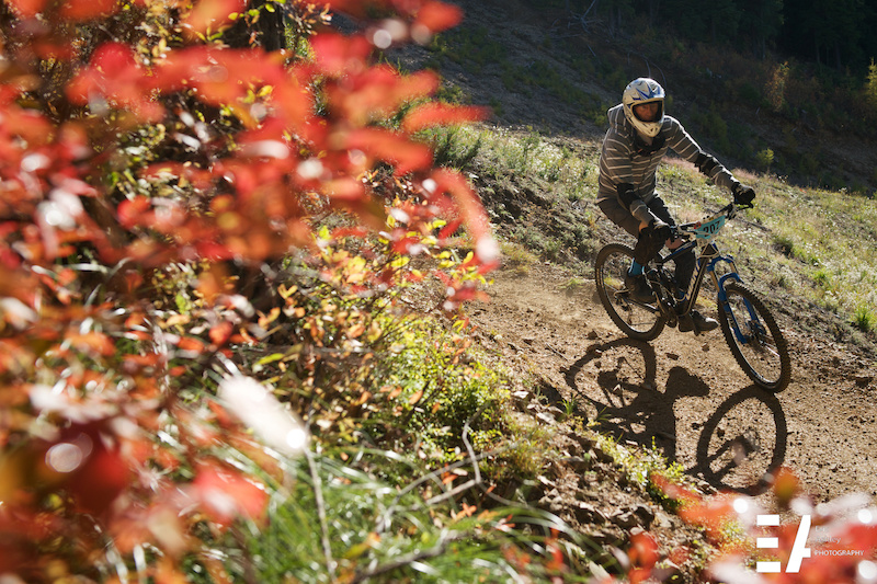 Payday Mountain Biking Trail Kellogg, Idaho