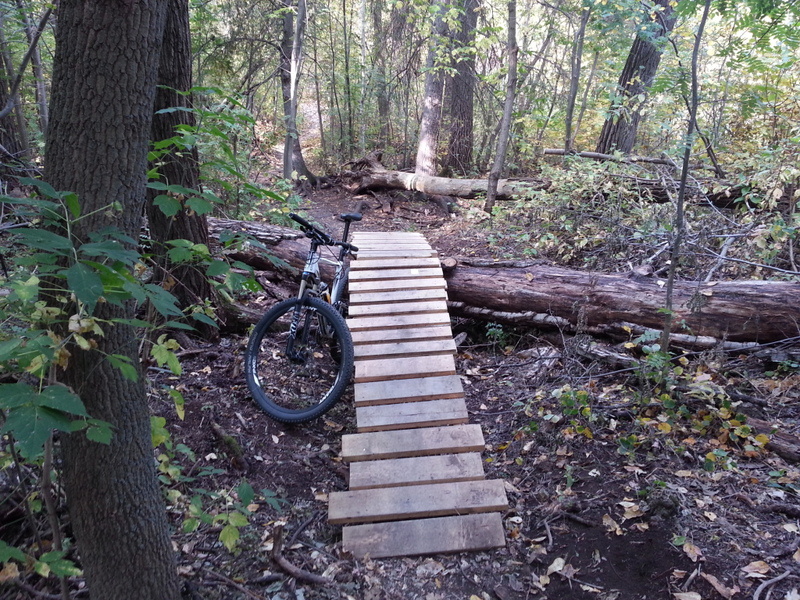 A loop through the forest Mountain Biking Trail Northwest Edmonton