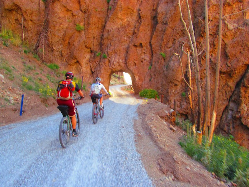 Water Line Rd Mountain Biking Trail Flagstaff, AZ