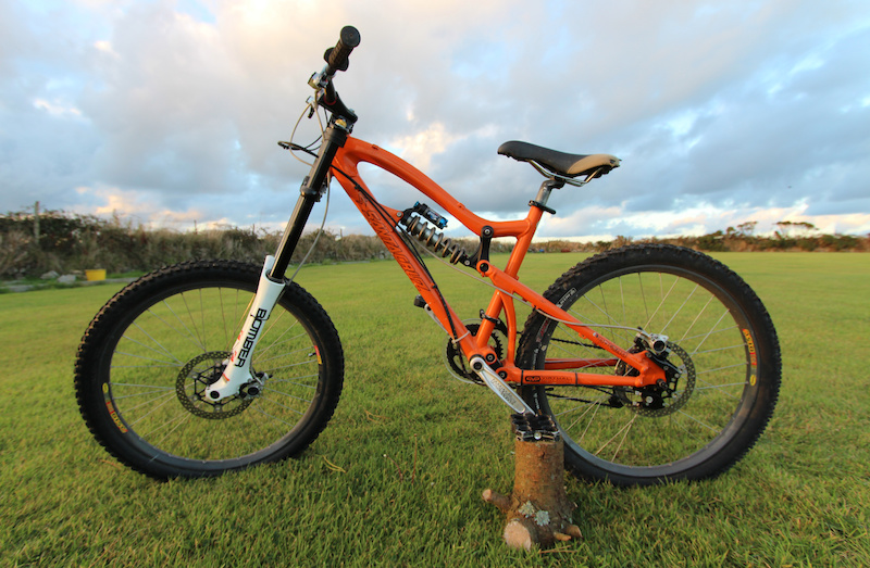 evans custom dog boxes