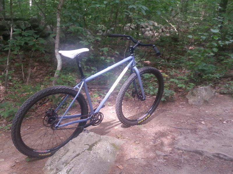 singular swift 29er