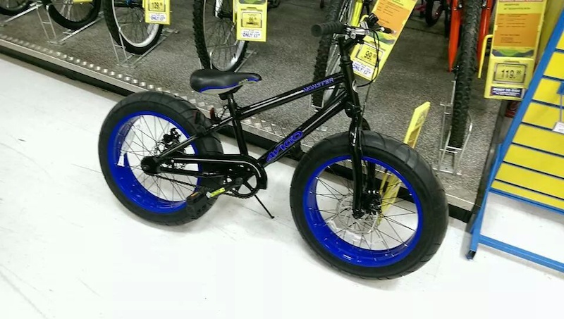 Bmx fat bike?