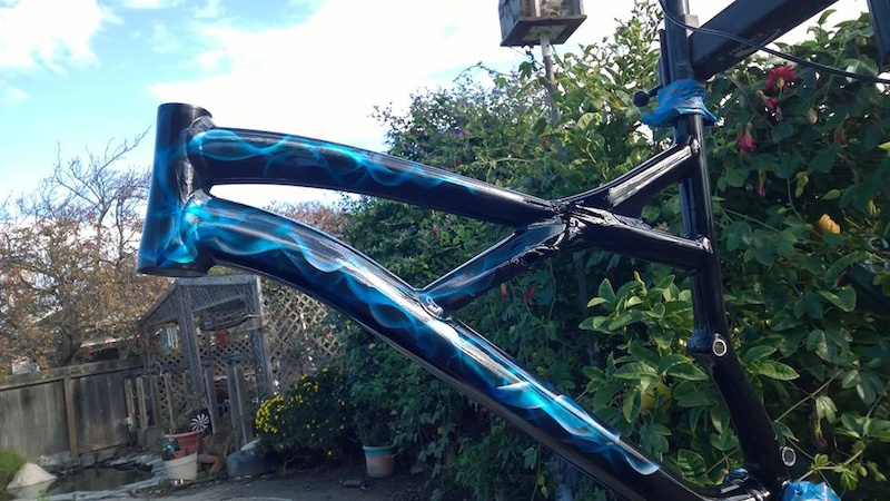 Stripped and painted the Enduro Frame