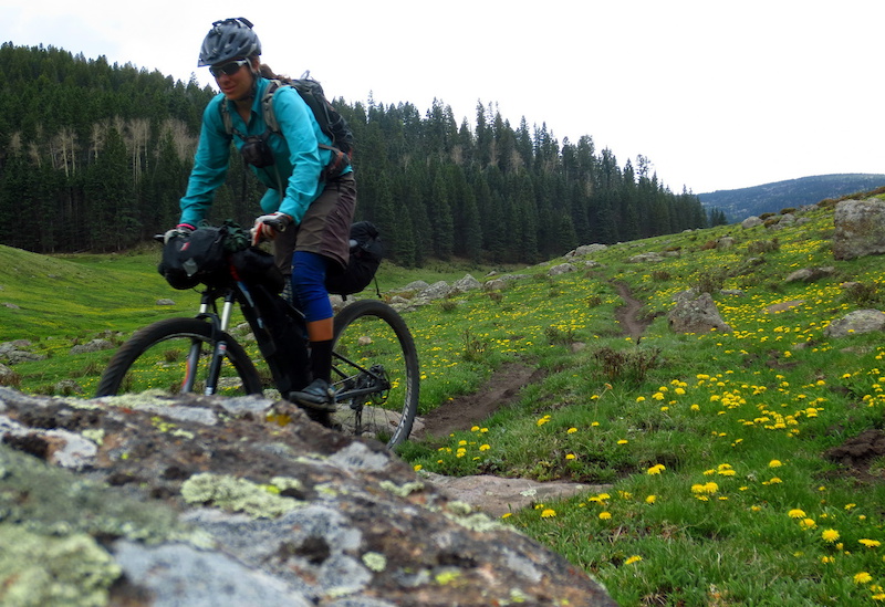 Biking the discount continental divide trail