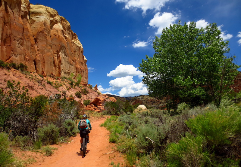 The Longest Singletrack Tour Ever Continental Divide Trail Pinkbike