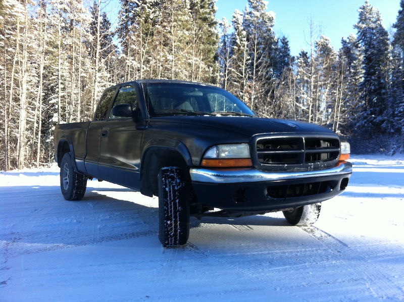 1999 dodge dakota 5.2L v8 For Sale