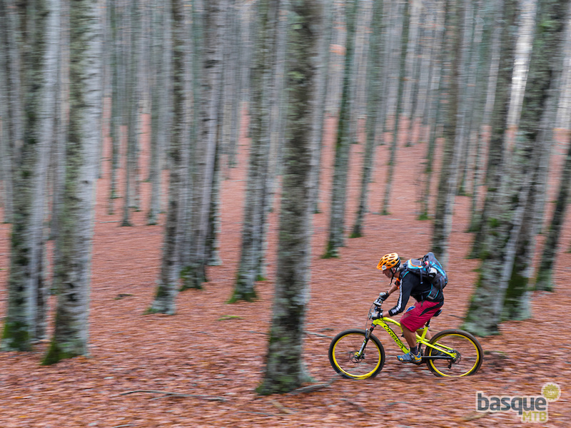 Antonio riding through the autumnal forests on his bright yellow bike.