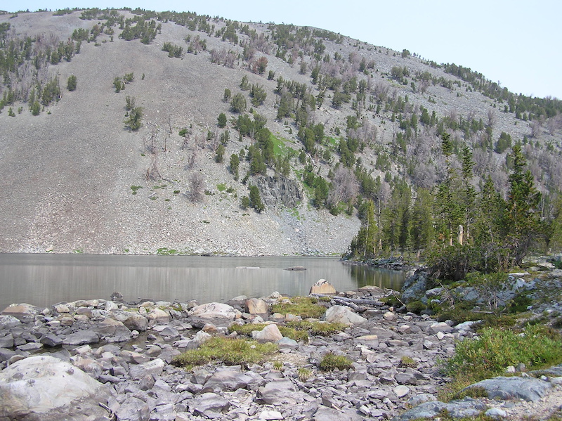 East end of Bear Valley Lake.