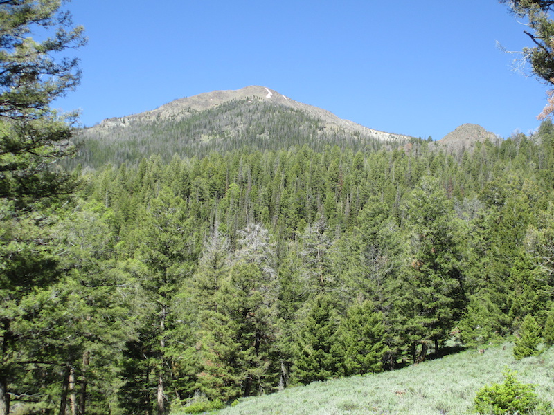 Alder Creek Mountain Biking Trail Challis, Idaho