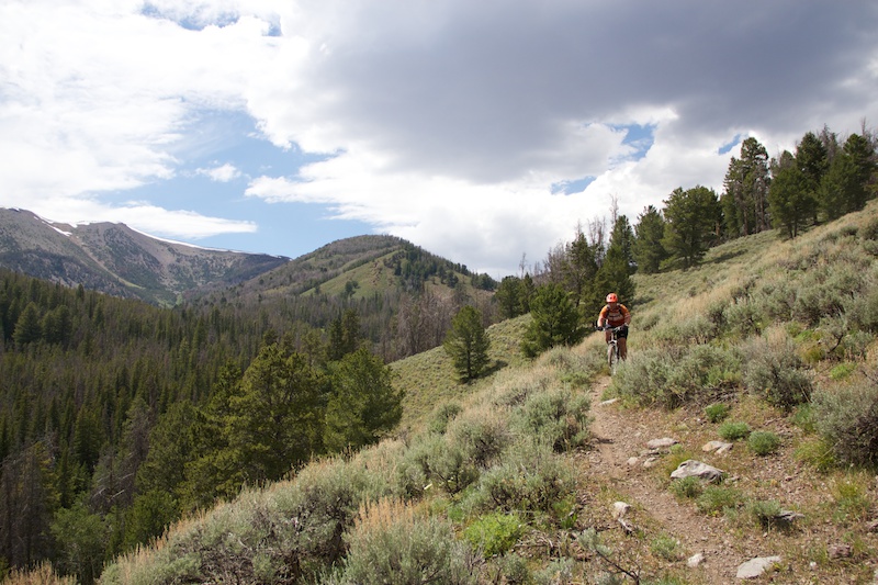 Big Timber Creek (Upper) Multi Trail Leadore, Idaho