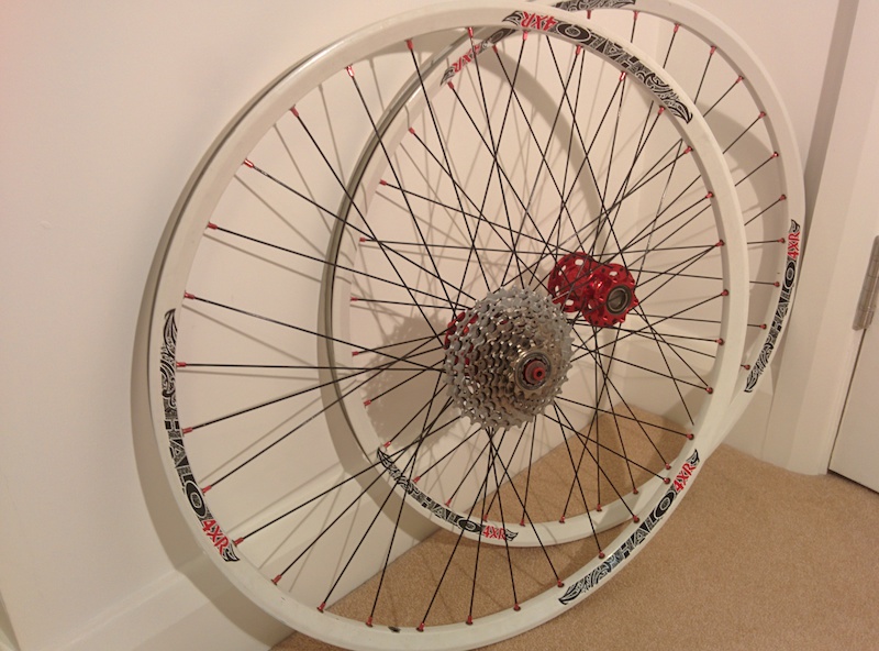 26 halo rims