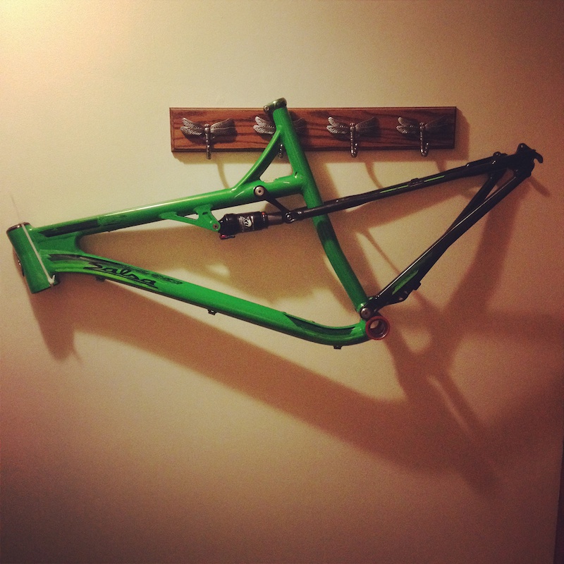 salsa spearfish frame
