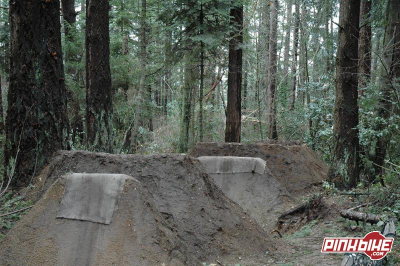 dirt jump trail