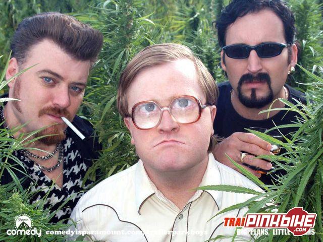 the trailer park boys and there weed crop