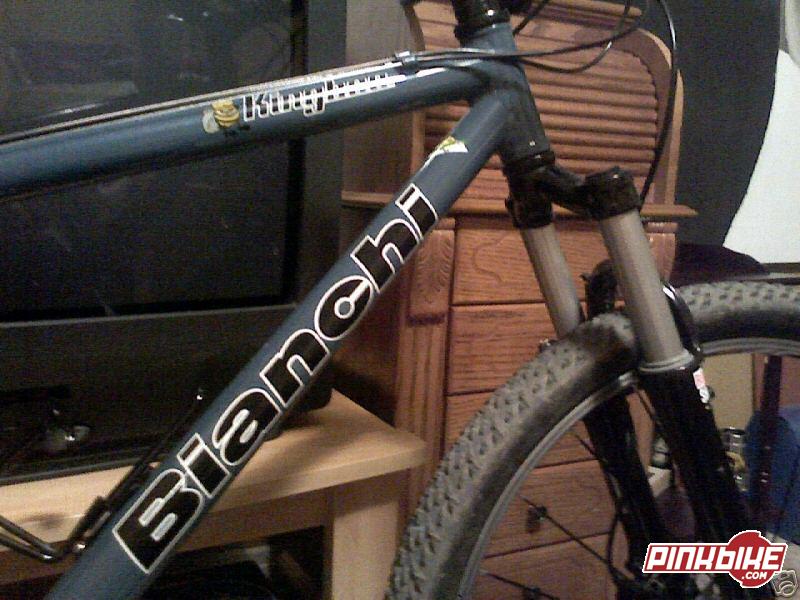 Bianchi kingbee sale