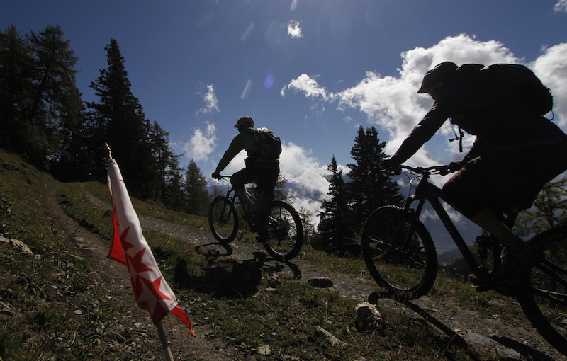 Back to the treeline trails