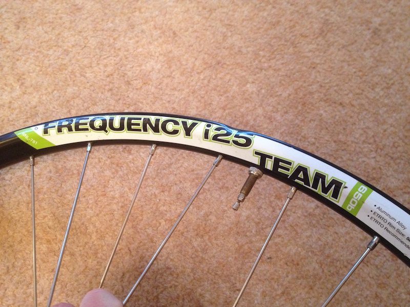 2013 WTB Frequency Front wheel