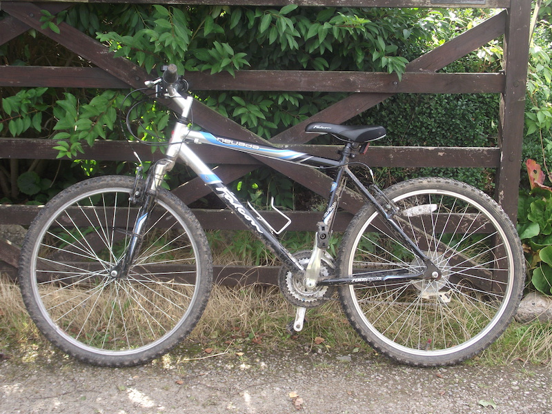 falcon sentinel mountain bike