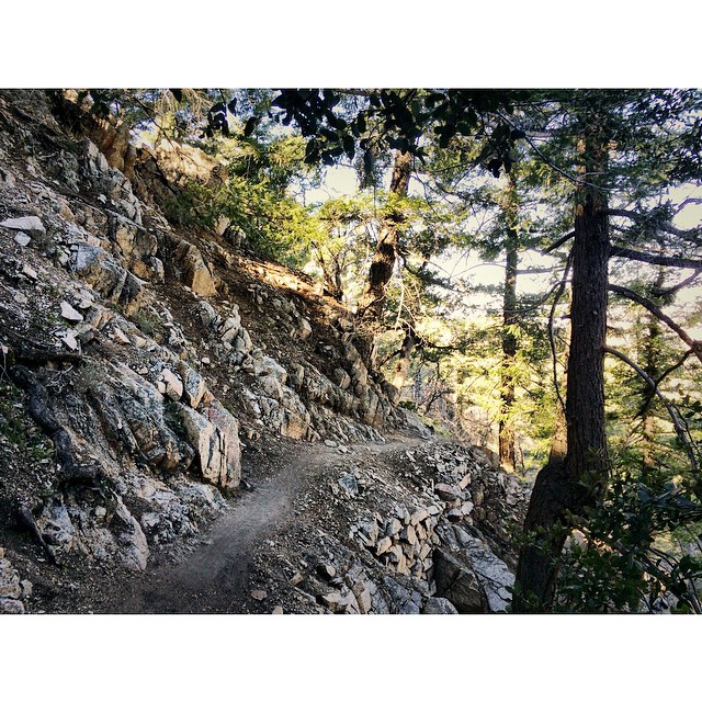 The shady start of Middle Merril.  It only gets dryer, looser and rockier from here on down.  Always good to have a bell on this trail as you will find hikers as you approach Echo Mtn.