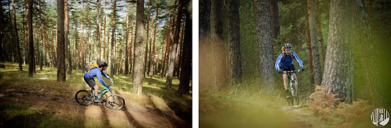 Mountain Biking dream trails less than one hour driving from the big city.