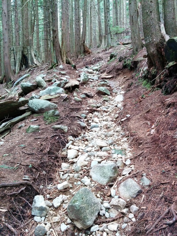 Eroded section of GOC Connector trail that follows a stream bed (Burke Mountain)