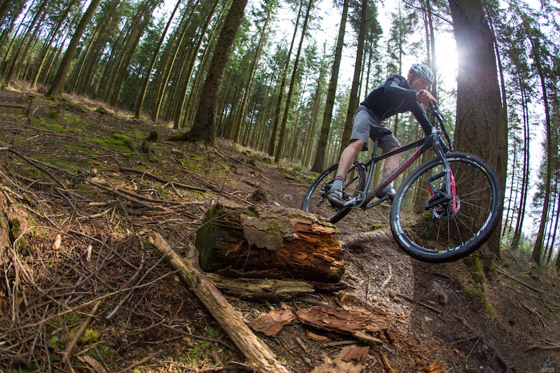 Video: The Lauf out on the Trail - Pinkbike